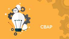 Business Analyst